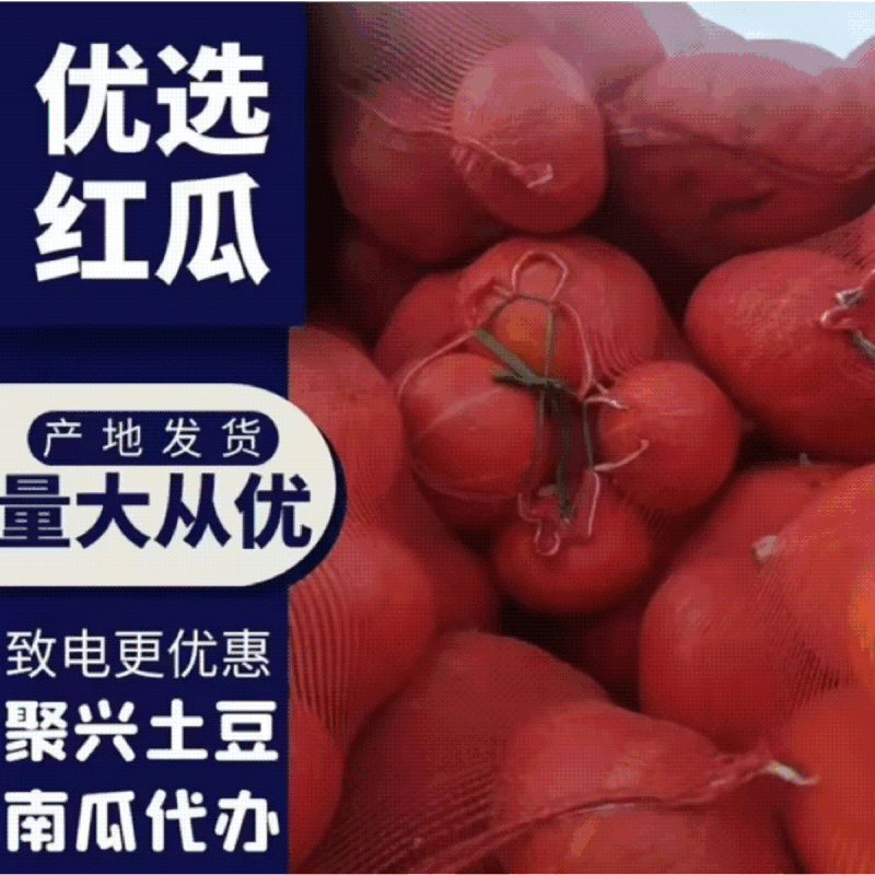 精品红南瓜长年供货红南瓜面甜质量保证欢迎来电