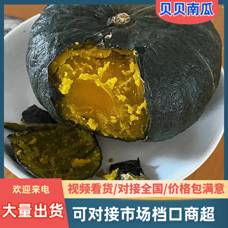 精品贝贝南瓜粉糯香甜质量保证售后保证欢迎来电