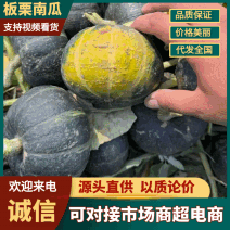 精品板栗南瓜粉糯香甜质量保证售后保证欢迎来电