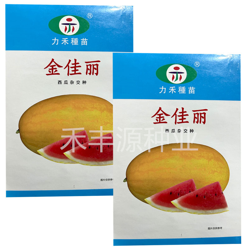 金佳丽西瓜种子台湾力禾种苗黄皮红肉稳产耐裂基地型