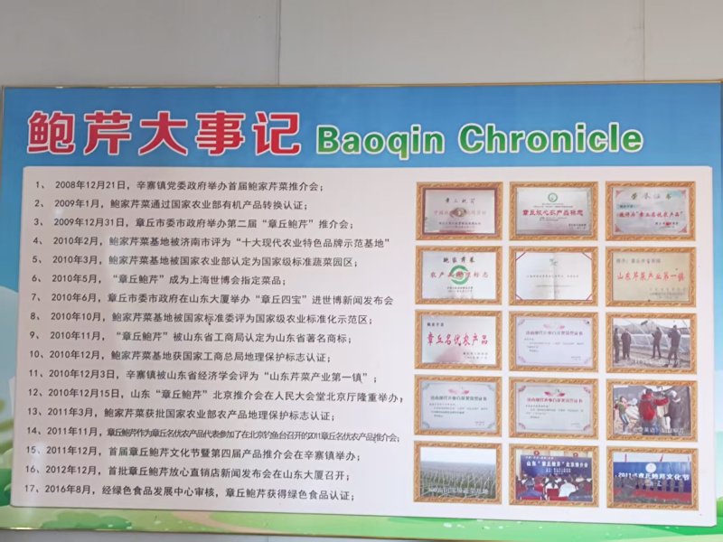 章丘鲍芹基地直供品质保证（顺丰包邮）量大从优，欢迎电联