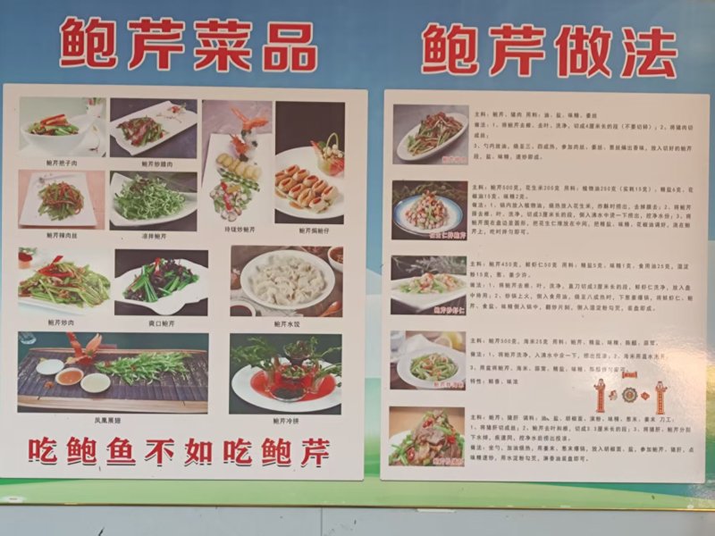 章丘鲍芹基地直供品质保证（顺丰包邮）量大从优，欢迎电联