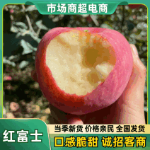 【山东红富士苹果】价格便宜坏烂包赔一手货源全国发随到随装