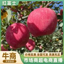 红富士苹果山东苹果脆甜好吃商超电商供货质优价廉