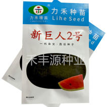 新巨人2号黑美西瓜种子300粒力禾种苗大果红瓤脆甜多汁