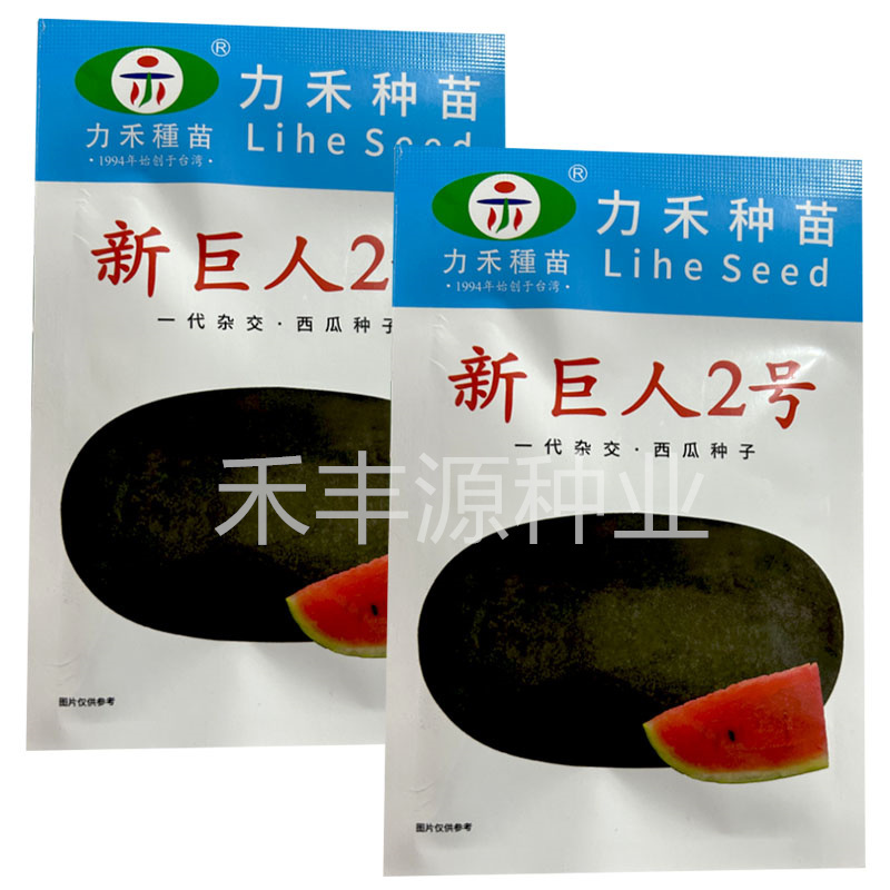 新巨人2号黑美西瓜种子300粒力禾种苗大果红瓤脆甜多汁