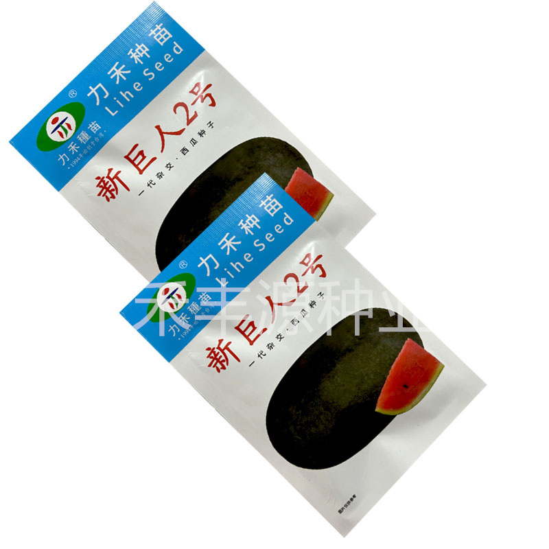 新巨人2号黑美西瓜种子300粒力禾种苗大果红瓤脆甜多汁
