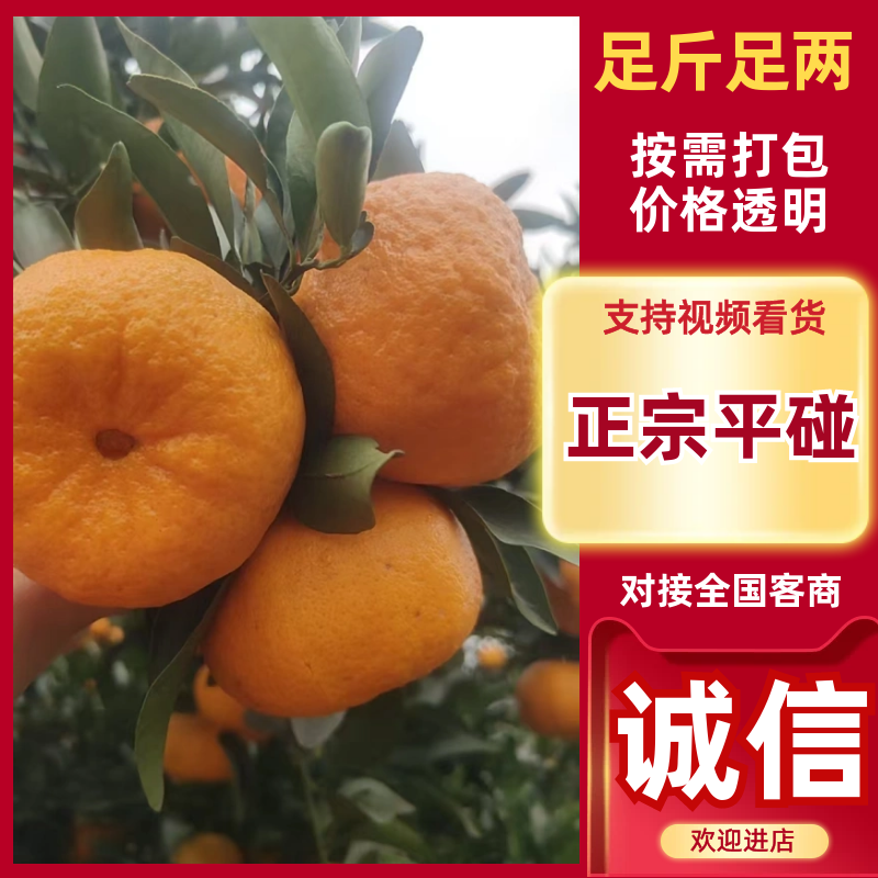 平碰，电商商超市场可大量供货，保质保量，无差价，无冻伤，
