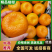 【精选】屏山碰柑挂树鲜，可视频看货，现场看货订价果大纯甜