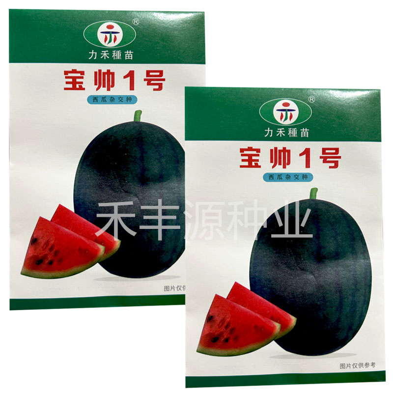 宝帅1号力禾种苗果肉红色黑皮西瓜种子基地品种