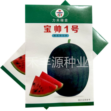 宝帅1号力禾种苗果肉红色黑皮西瓜种子基地品种