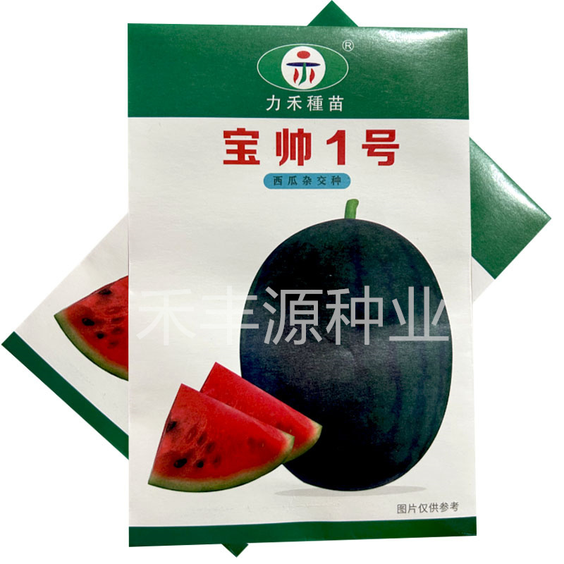 宝帅1号力禾种苗果肉红色黑皮西瓜种子基地品种