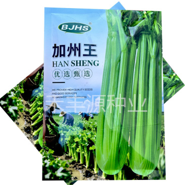 加州王西芹种子高产250g抗热耐寒抗病强菜园基地品种
