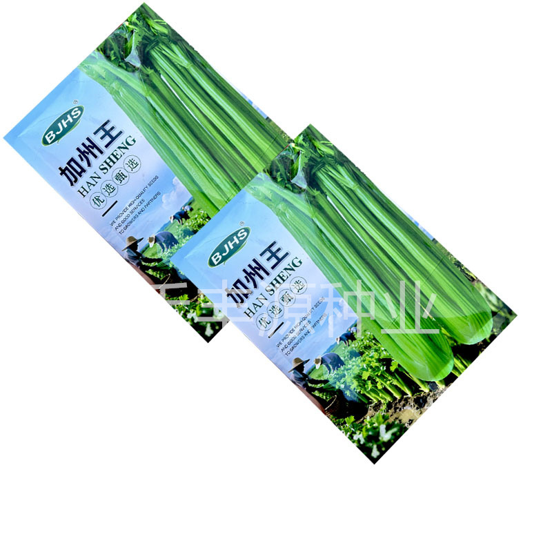 加州王西芹种子高产250g抗热耐寒抗病强菜园基地品种