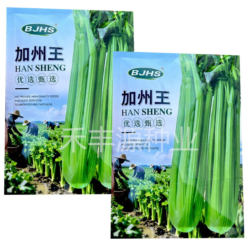 加州王西芹种子高产250g抗热耐寒抗病强菜园基地品种