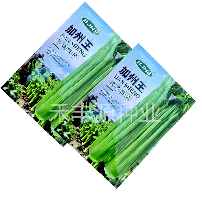 加州王西芹种子高产250g抗热耐寒抗病强菜园基地品种
