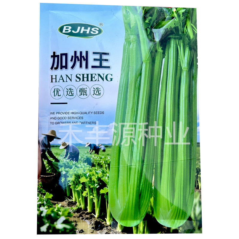 加州王西芹种子高产250g抗热耐寒抗病强菜园基地品种
