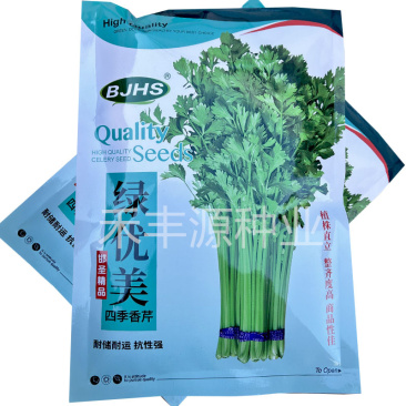 绿优美四季香芹种子黄芯植株直立耐热耐寒整齐度高春秋种植
