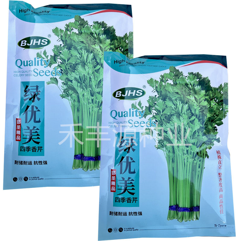 绿优美四季香芹种子黄芯植株直立耐热耐寒整齐度高春秋种植
