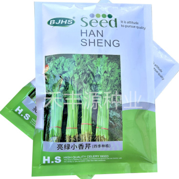 亮绿小香芹四季种植生长快250g黄心叶耐热耐寒抗病抗逆