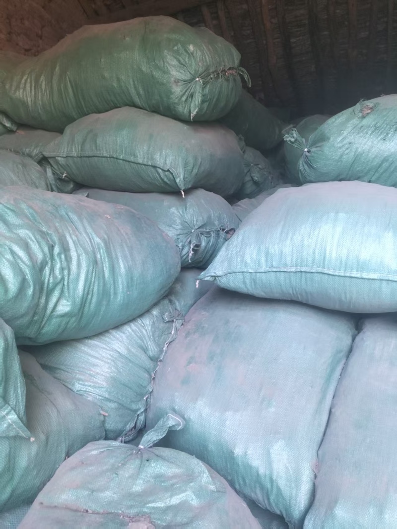 精品独活大量供应自己种植价格优惠支持视频看货欢迎来电