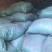 精品独活大量供应自己种植价格优惠支持视频看货欢迎来电