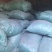 精品独活大量供应自己种植价格优惠支持视频看货欢迎来电