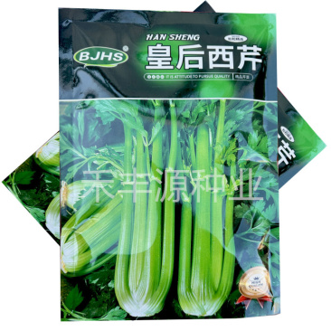 皇后西芹种子早熟250g高产抗病抗病耐低温生长快
