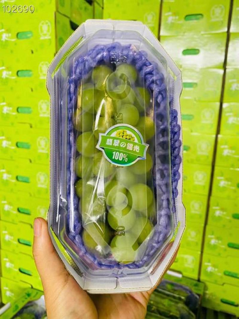 热卖推荐精品阳光玫瑰基地一手货源全国发货可视频