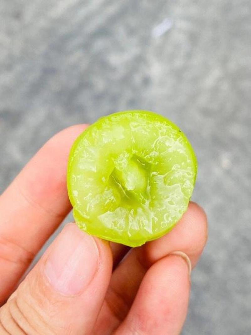 大荔阳光玫瑰冷库直发保质保量量大价优可视频