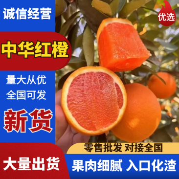 【热卖】中华红橙秭归橙子产地一手货源皮薄多汁