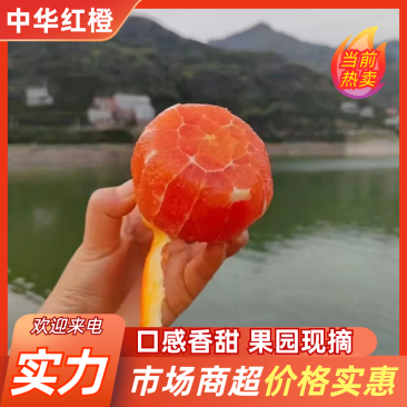【推荐】中华红橙湖北宜昌橙子货源充足保质保量