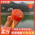 【推荐】中华红橙湖北宜昌橙子货源充足保质保量