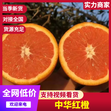 【精选】中华红橙橙子果园直采现摘现发保质保量