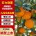 【精选】九月红脐橙皮薄多汁现摘现发保质保量