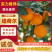 【热卖】纽荷尔脐橙湖北橙子货源充足保质保量