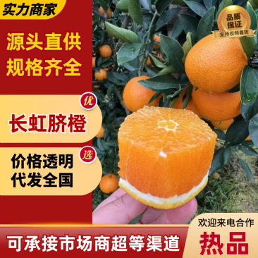 【热卖】长虹脐橙秭归橙子新鲜多汁个大皮薄量大价优