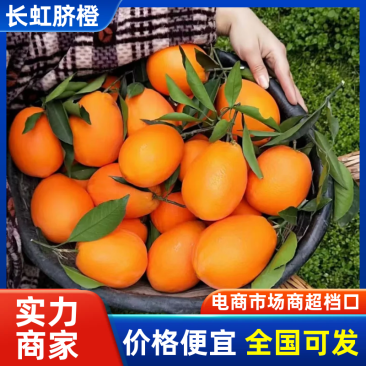 【推荐】长虹脐橙秭归长虹脐橙果园直采甘甜多汁