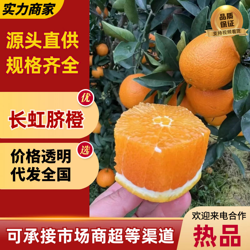 【精选】长虹脐橙橙子产地直发皮薄多汁量大优惠