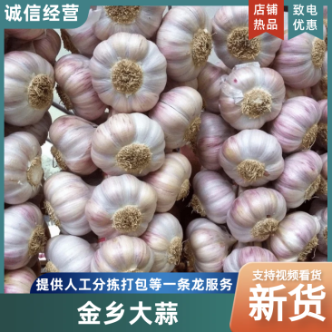 自产自销金乡大蒜皮红瓣大辣味香浓价格低包上车