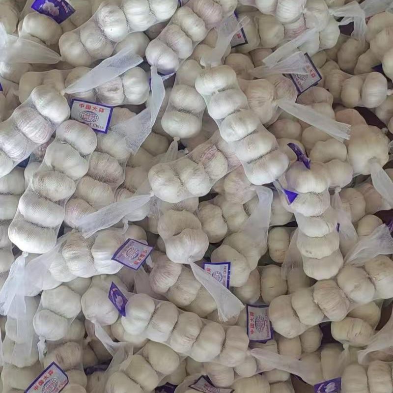 自产自销金乡大蒜皮红瓣大辣味香浓价格低包上车