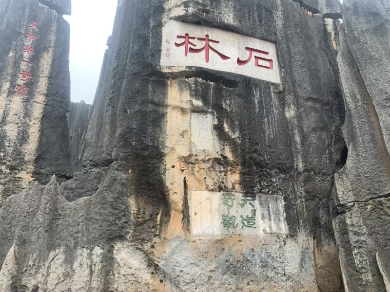 乳饼新鲜羊奶制作的乳饼软糯香甜一手货源欢迎咨询