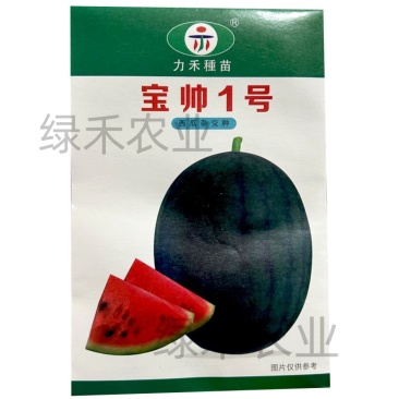 宝帅1号西瓜种子果肉红色黑皮红瓤甜脆力禾西瓜种籽