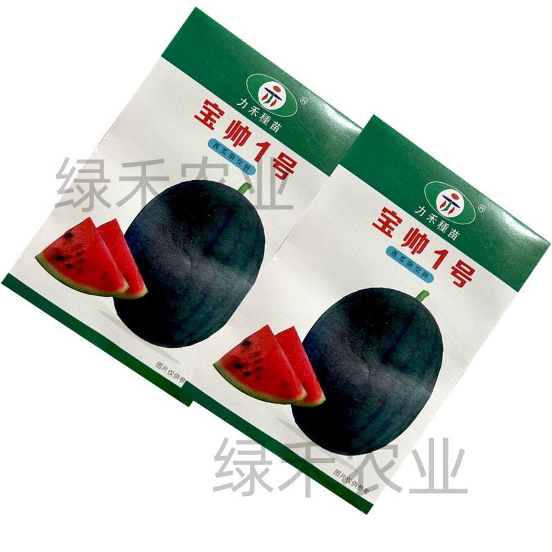 宝帅1号西瓜种子果肉红色黑皮红瓤甜脆力禾西瓜种籽