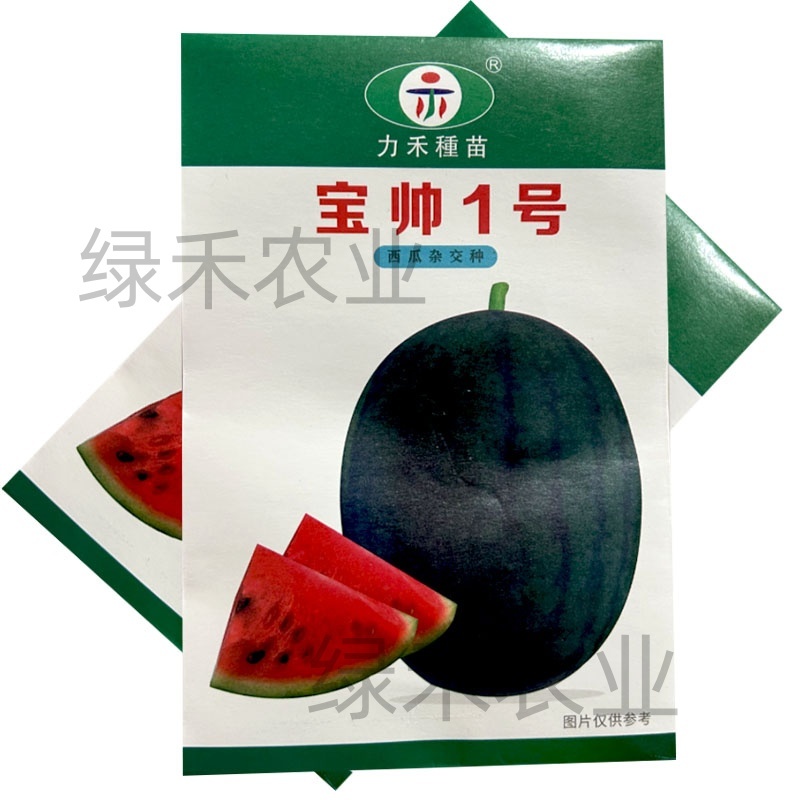 宝帅1号西瓜种子果肉红色黑皮红瓤甜脆力禾西瓜种籽