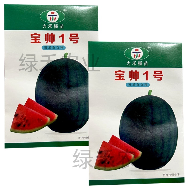 宝帅1号西瓜种子果肉红色黑皮红瓤甜脆力禾西瓜种籽