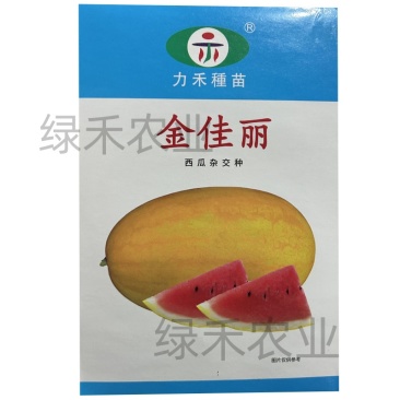 金佳丽西瓜种子力禾黄皮肉红肉质爽口多汁春秋种植口感好