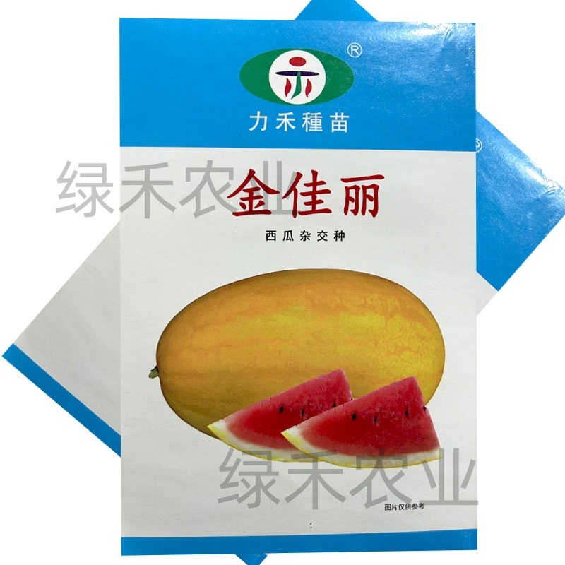 金佳丽西瓜种子力禾黄皮肉红肉质爽口多汁春秋种植口感好