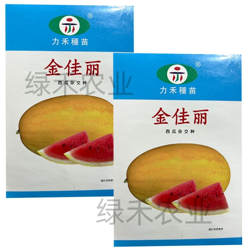 金佳丽西瓜种子力禾黄皮肉红肉质爽口多汁春秋种植口感好