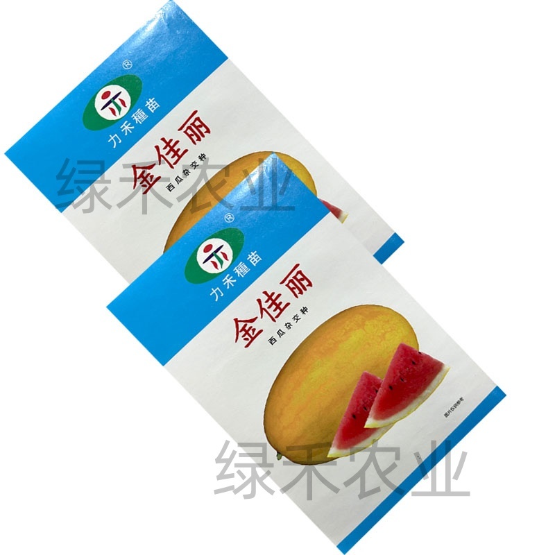 金佳丽西瓜种子力禾黄皮肉红肉质爽口多汁春秋种植口感好